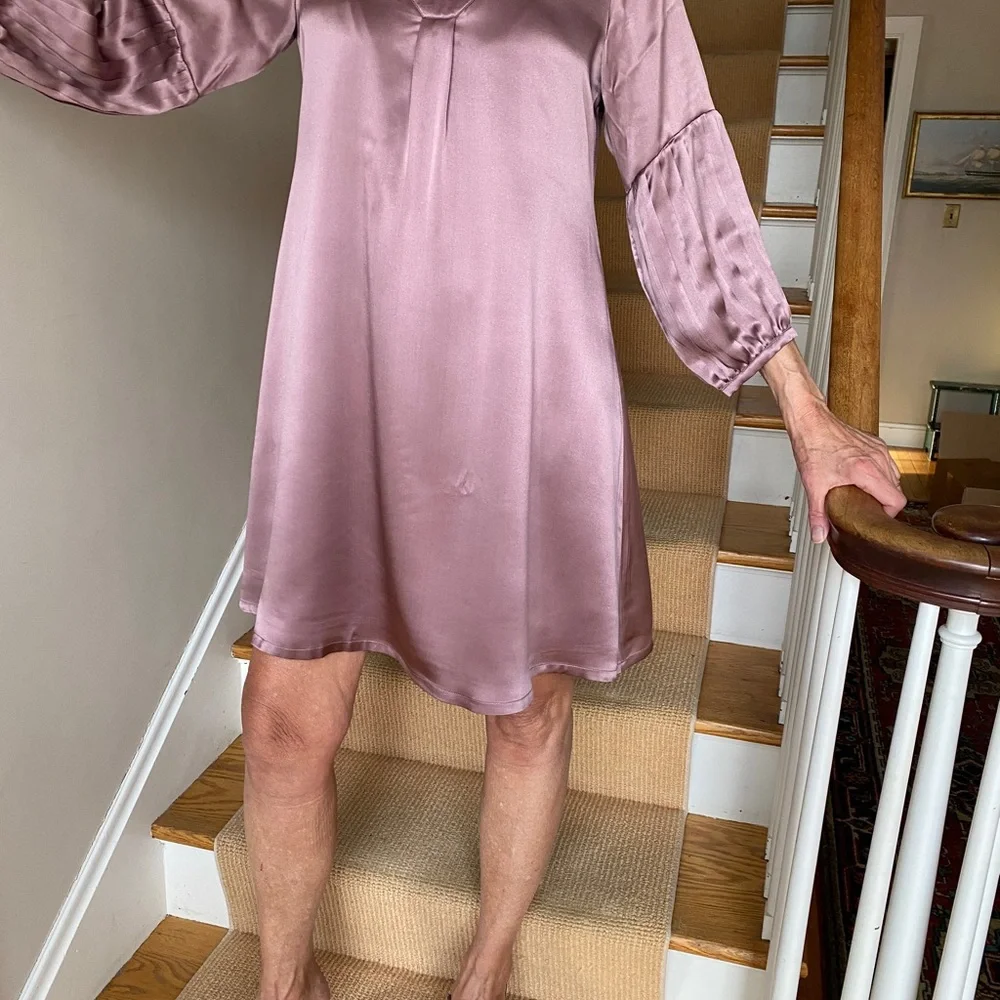 Garnet Hill rose-colored silk dress, sz 4 NWT - Picture 9 of 14